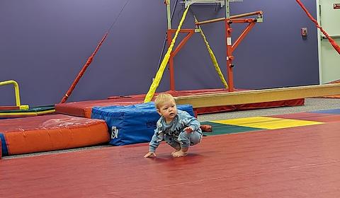 The Little Gym main photo