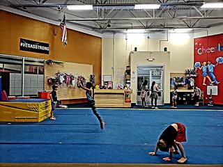 Gymnastics 702 main photo