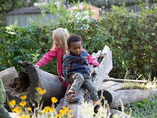 The Waldorf School of St. Louis main photo