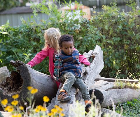 The Waldorf School of St. Louis main photo