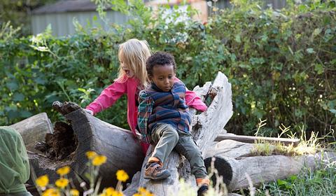 The Waldorf School of St. Louis main photo