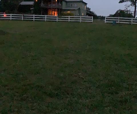 Mimi Peters Riding School main photo