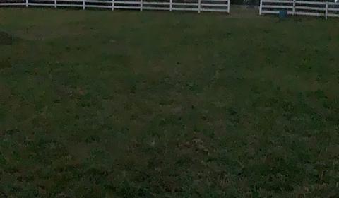 Mimi Peters Riding School main photo