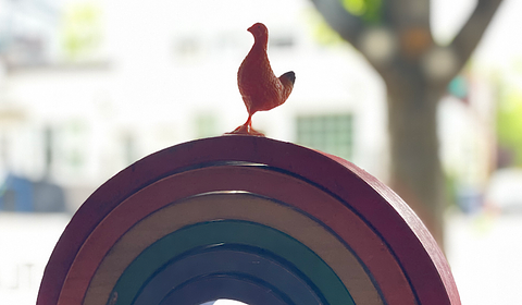 Portland Preschool of the Arts main photo