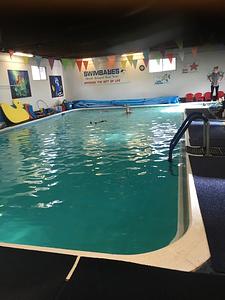 SWIMBABES Swim Survival Safety -Home of the World's Youngest Swim Team! photo 3