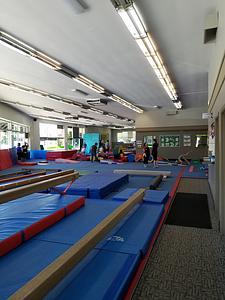 The Children's Gym main photo