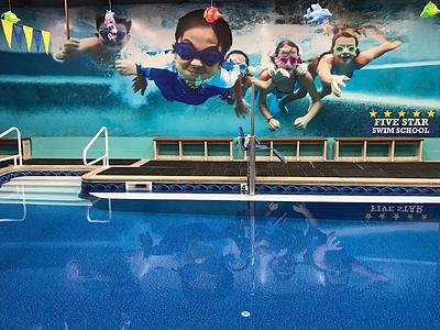 Five Star Swim School - Lehigh Valley main photo