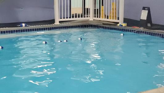 Five Star Swim School - Lehigh Valley photo 2