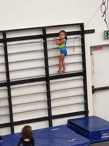 Gymnastics Inc main photo