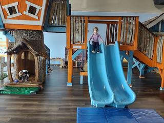 The Monkey’s Treehouse Play Space & Eatery main photo