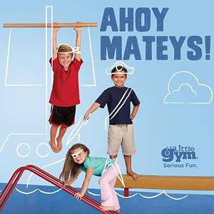 The Little Gym of Port Washington photo 2