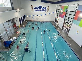 Wolfies Swim School main photo