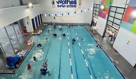 Wolfies Swim School main photo