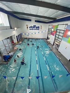Wolfies Swim School main photo