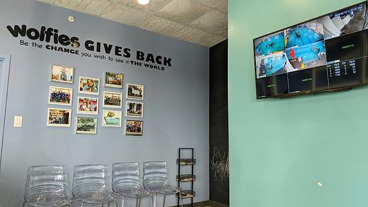 Wolfies Swim School photo 2