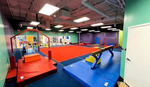 The Little Gym of Stone Oak main photo