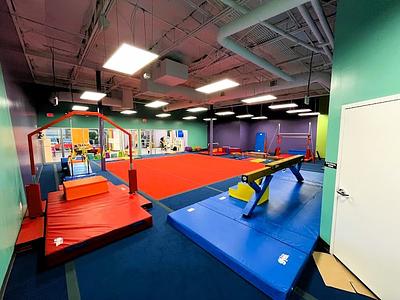 The Little Gym of Stone Oak main photo